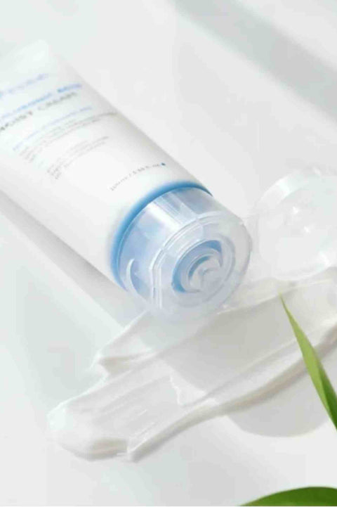 Isntree Hyaluronic Acid Moist Cream 100ml