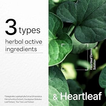 Mediheal Heartleaf Dermaplus Mask Box (10Pc)