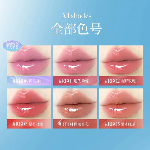 Dezone Refreshing Moistening Lip Gloss #RB02 Wild Rose 8G