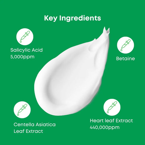 NINE LESS A-Control Heartleaf & BHA Cleanser 120ml
