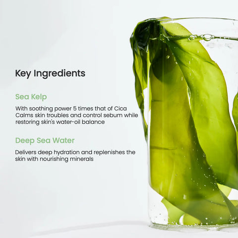 Biodance Refreshing Sea Kelp Real Deep Mask (1Pc)