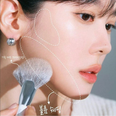 Fillimilli Big Fan Brush 851