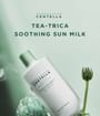 SKIN1004 Madagascar Centella Tea-Trica Soothing Sun Milk SPF50+ PA++++ 50ml